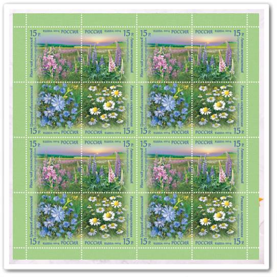 Ромашка лекарственная