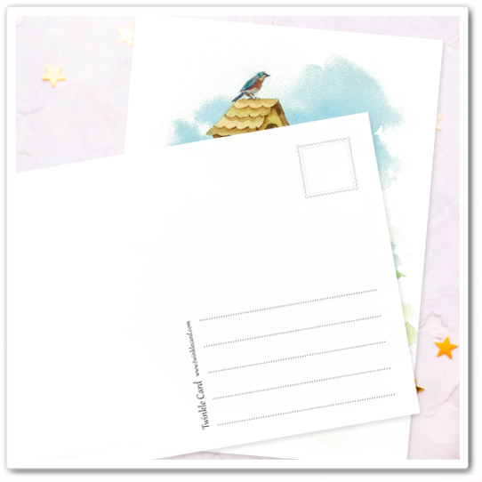 Скворечники