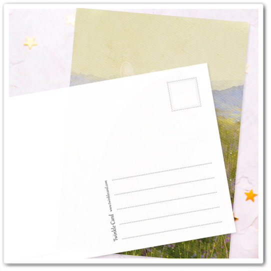 Миша. Лаванда