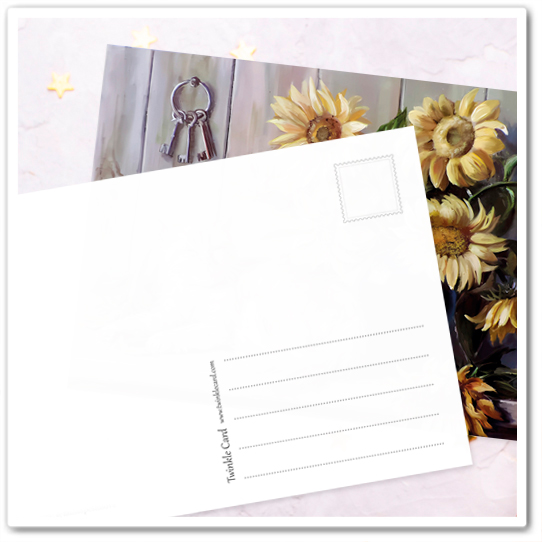 Коты и букеты. Подсолнухи