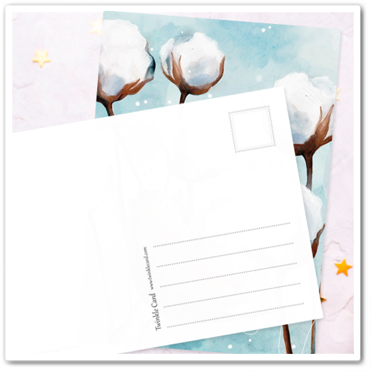 Миша. Хлопок