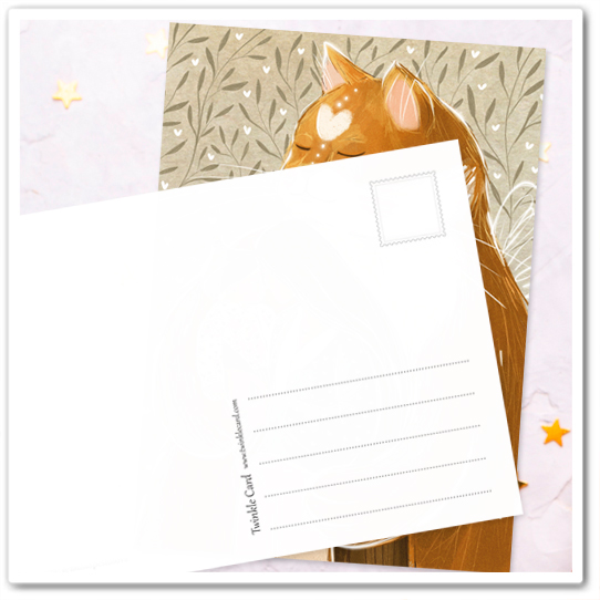 Пушистые объятия