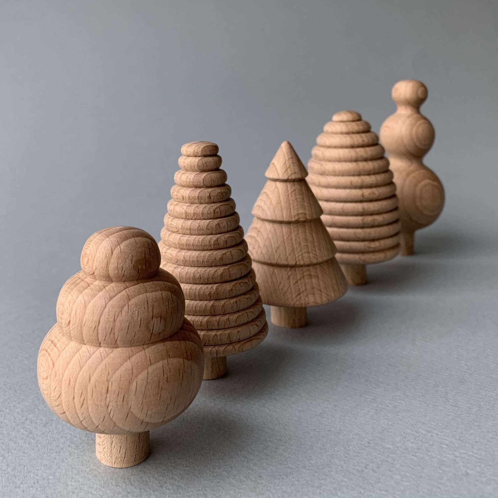 Волшебный лес