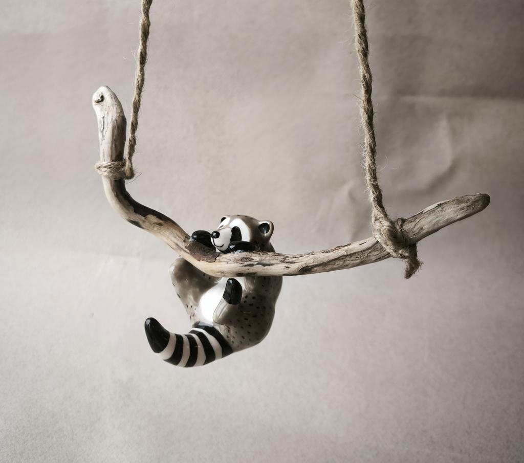 Енот на ветке 3