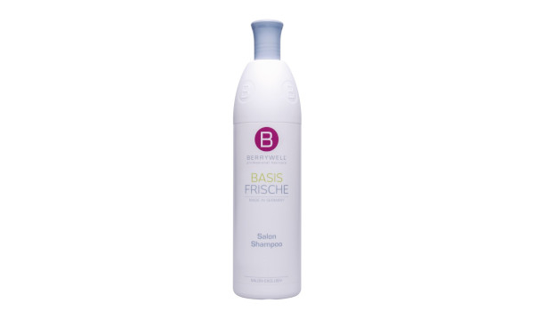 Berrywell Basisfrische Salon Shampoo Plus Профессиональный шампунь