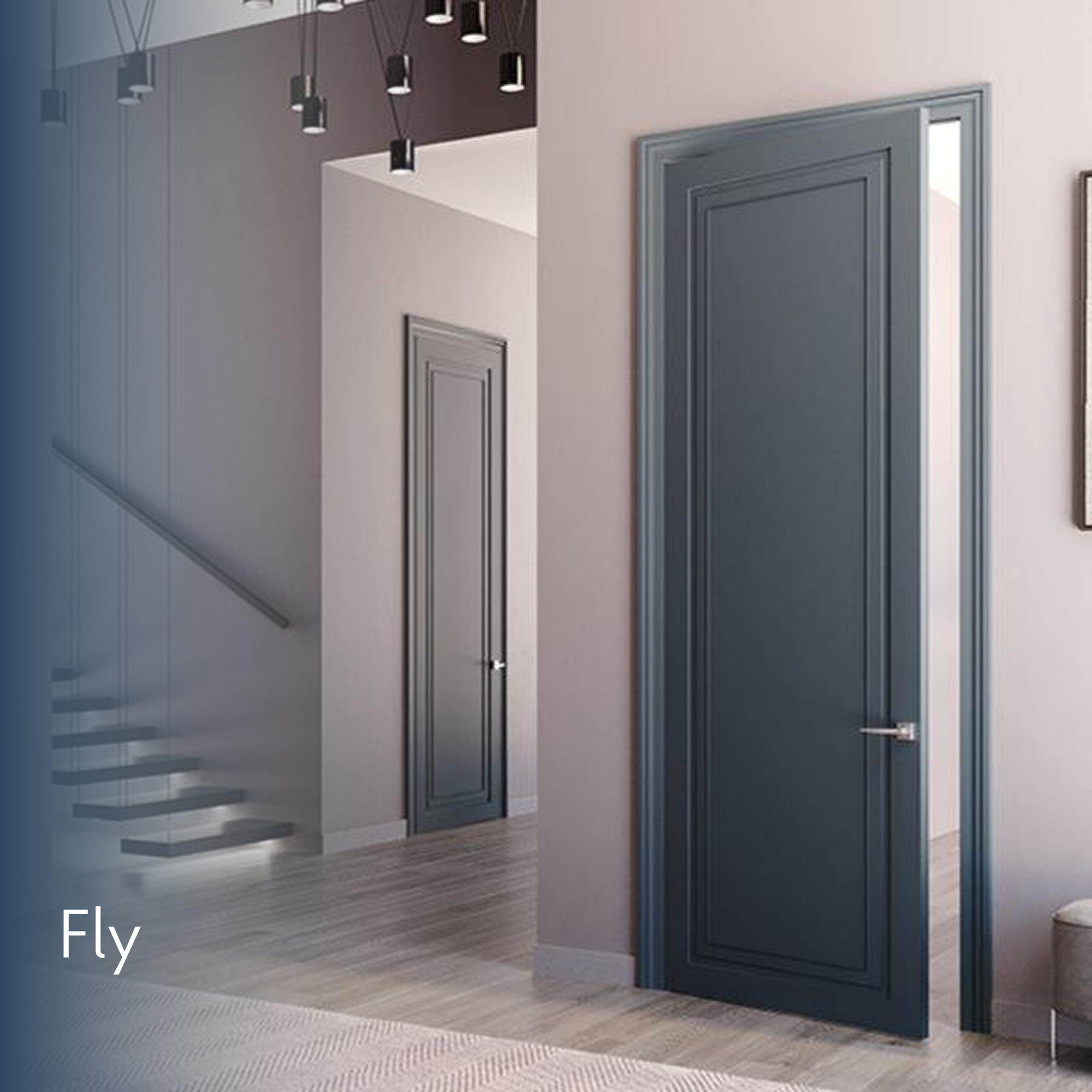 Fly