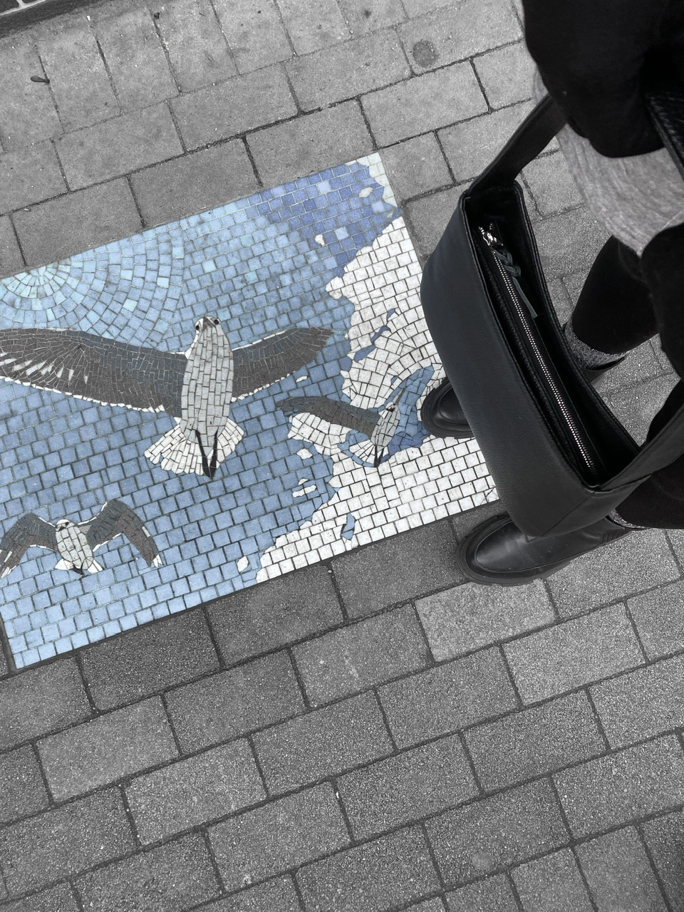 СУМКА STELLABAG (ЧЕРНАЯ)