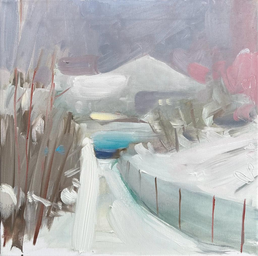 Заснеженная дорога