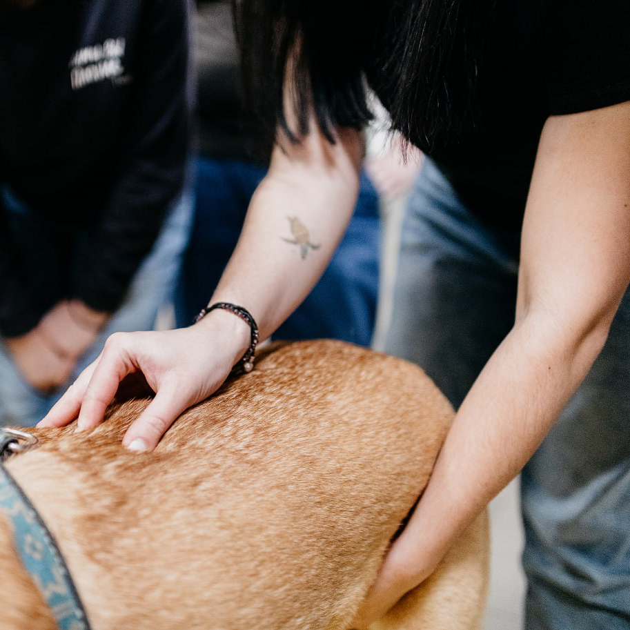 Базовый модуль 2 дня