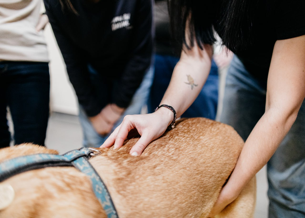 Базовый модуль 3 дня