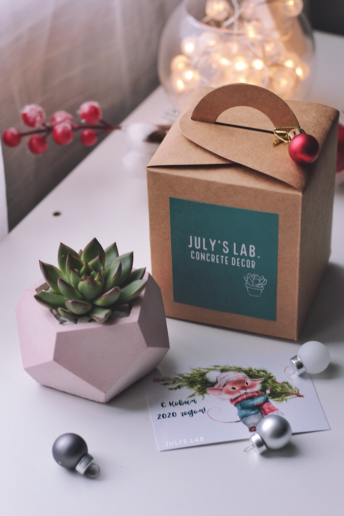 Суккклент в стоуне Подарочный бокс