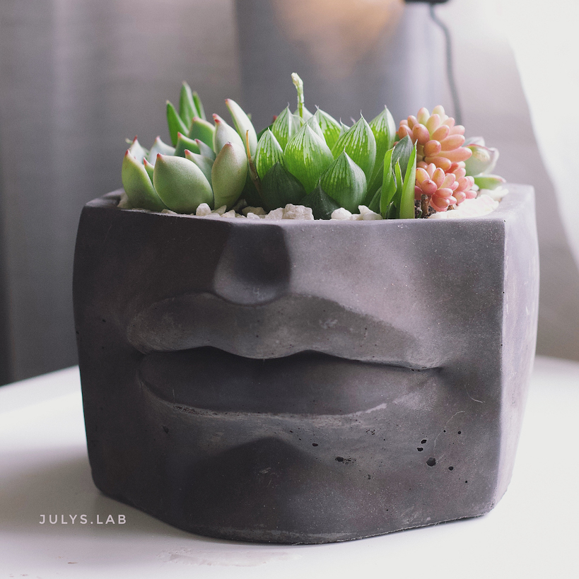 Садик в кашпо Губы Графит