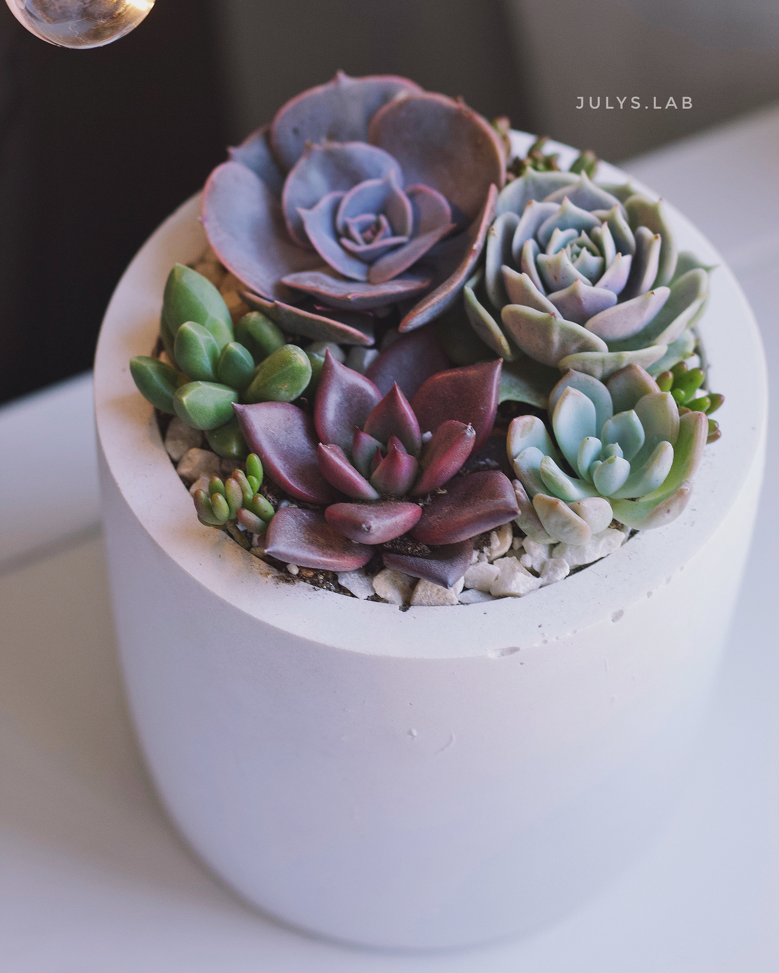 Садик в цилиндре Макси