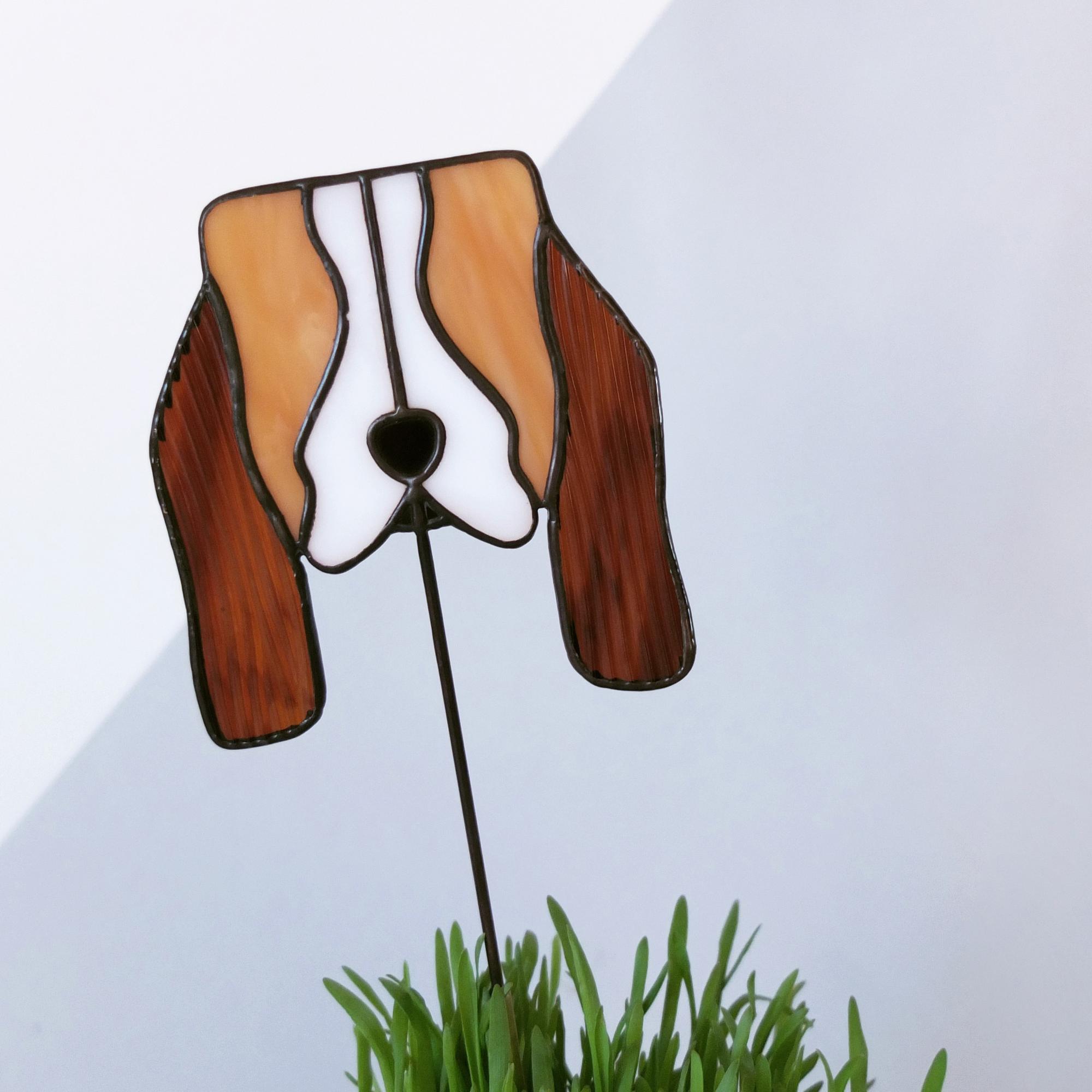 Buddy. BASSET HOUND