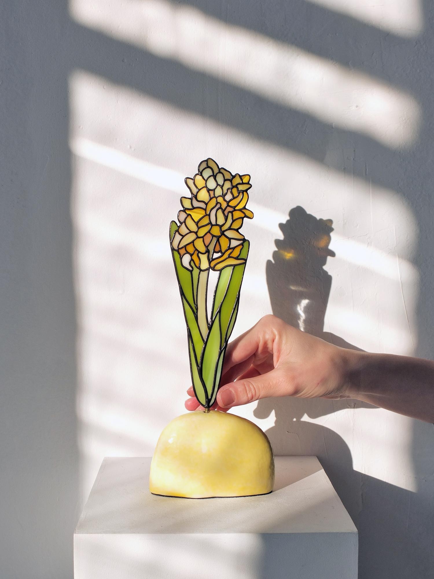 Yellow Hyacinth
