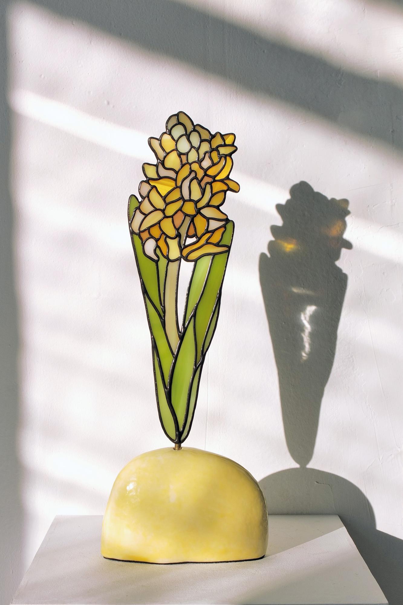 Yellow Hyacinth