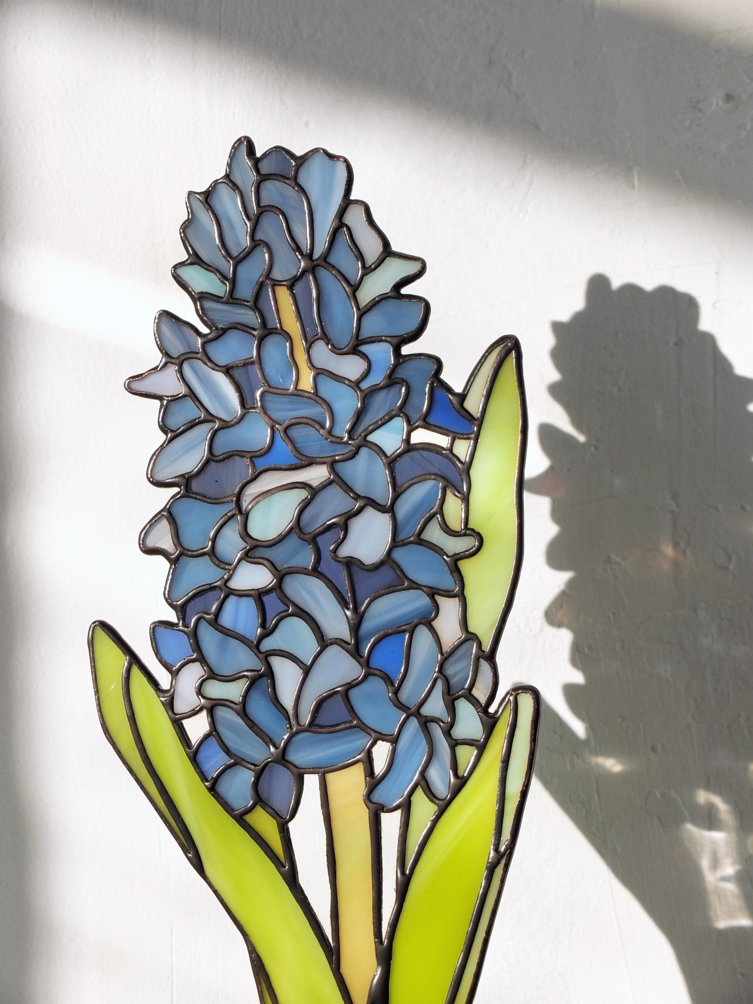 Blue Hyacinth