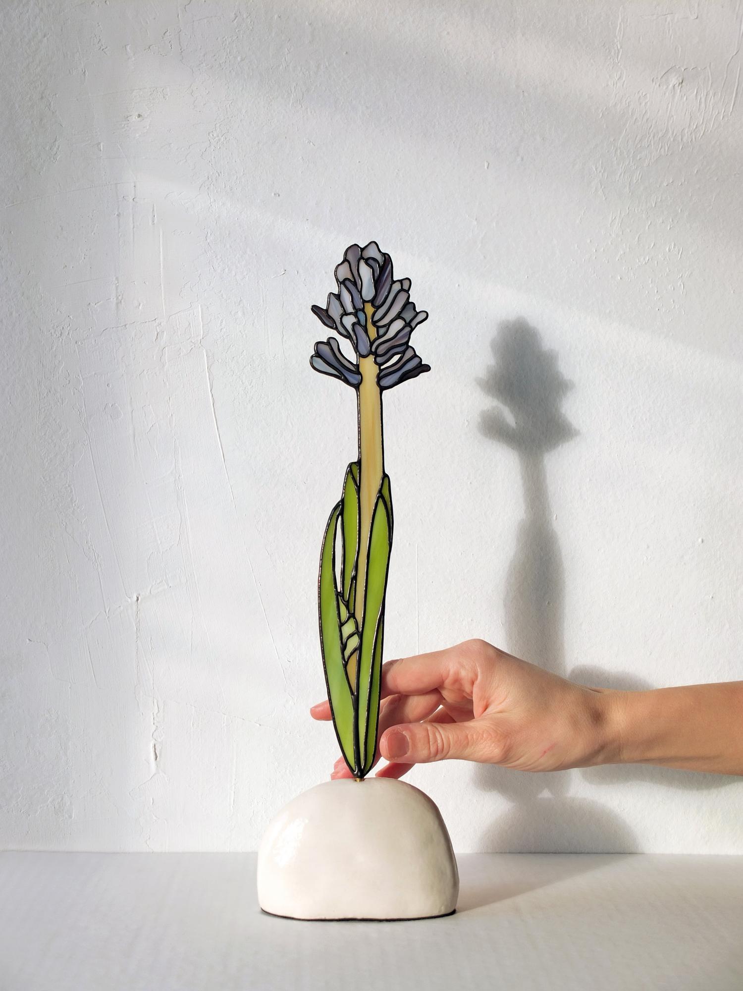 Lavender Hyacinth