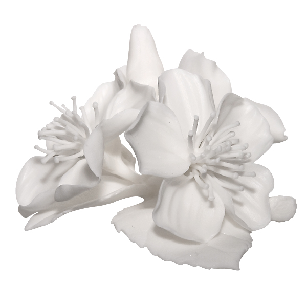 "Цветы яблони". Бисквит