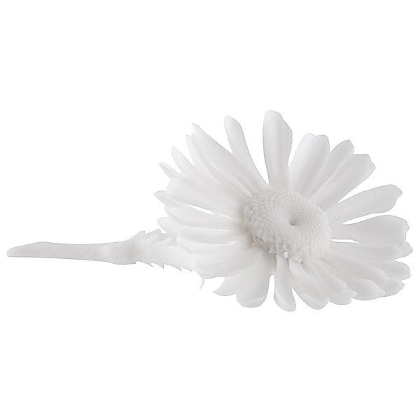 "Ромашка". Бисквит