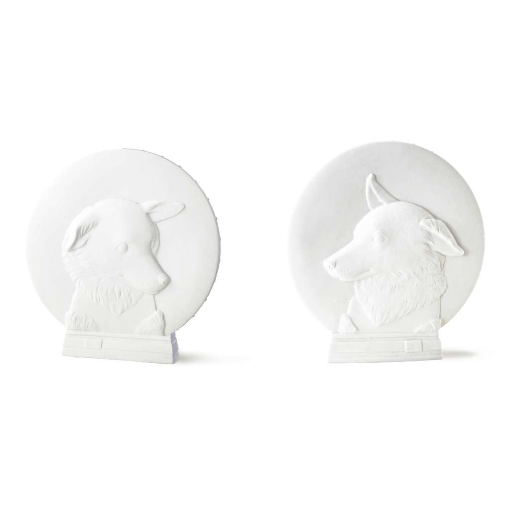 Белка и стрелка