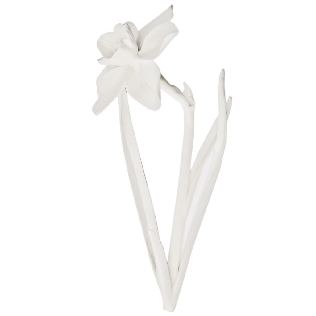 "Нарцисс". Бисквит