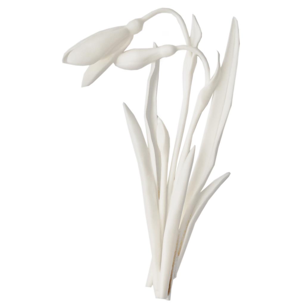 "Подснежник с бутоном". Бисквит