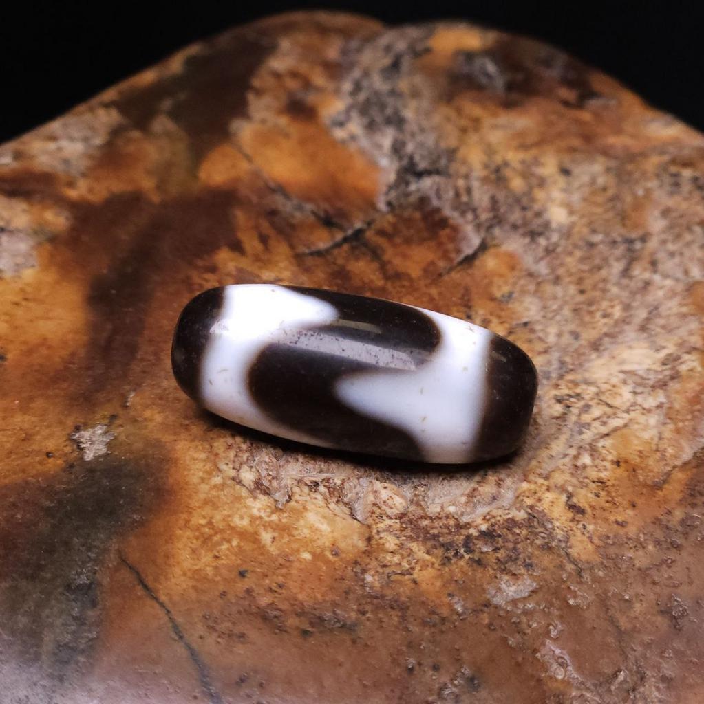 Бусина Дзи Зубы Тигра N°51