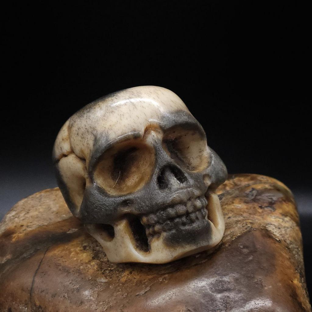 Череп из рога лося N°2