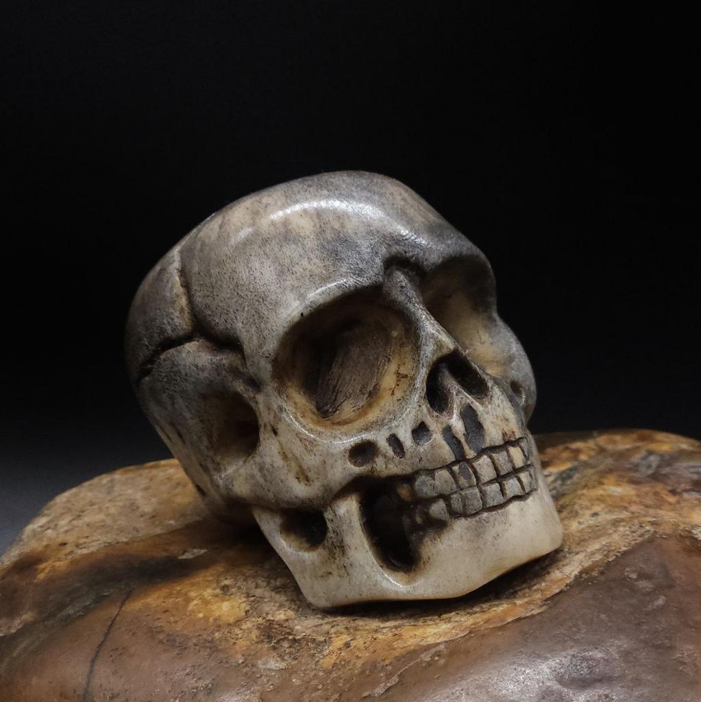 Череп из рога лося N°3