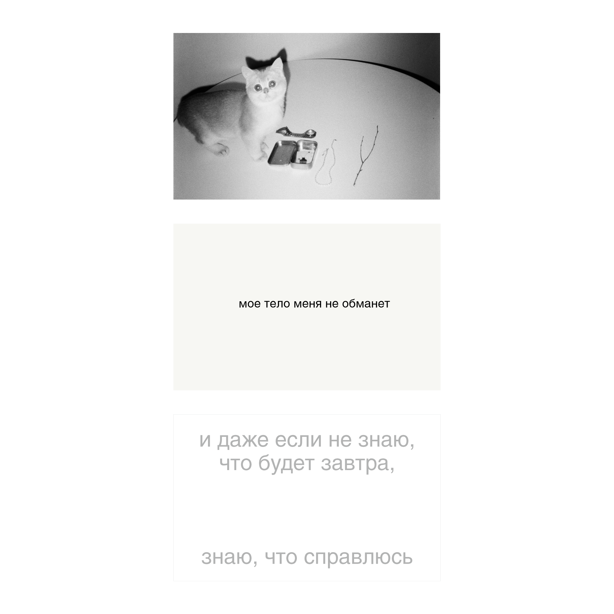 Набор мини-открыток. Мое тело меня не обманет. 3 штуки