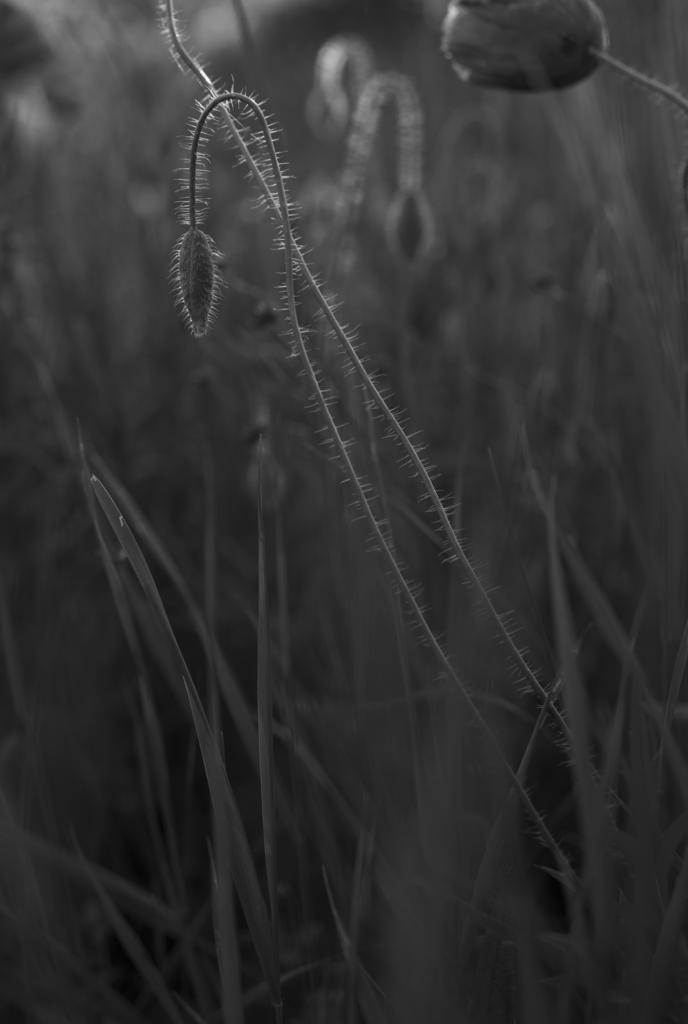 Simple contrast