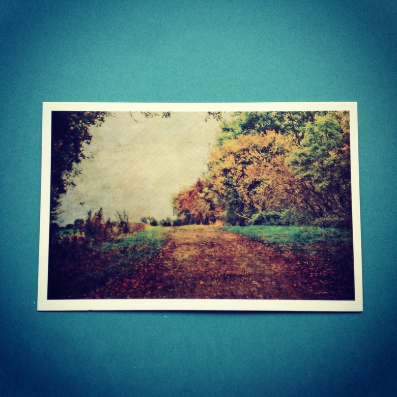 Осень в лесу