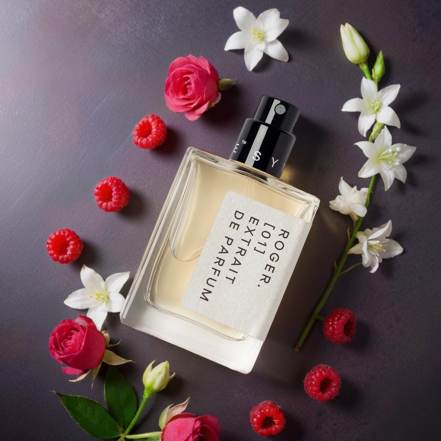 Roger [01], Synonyme