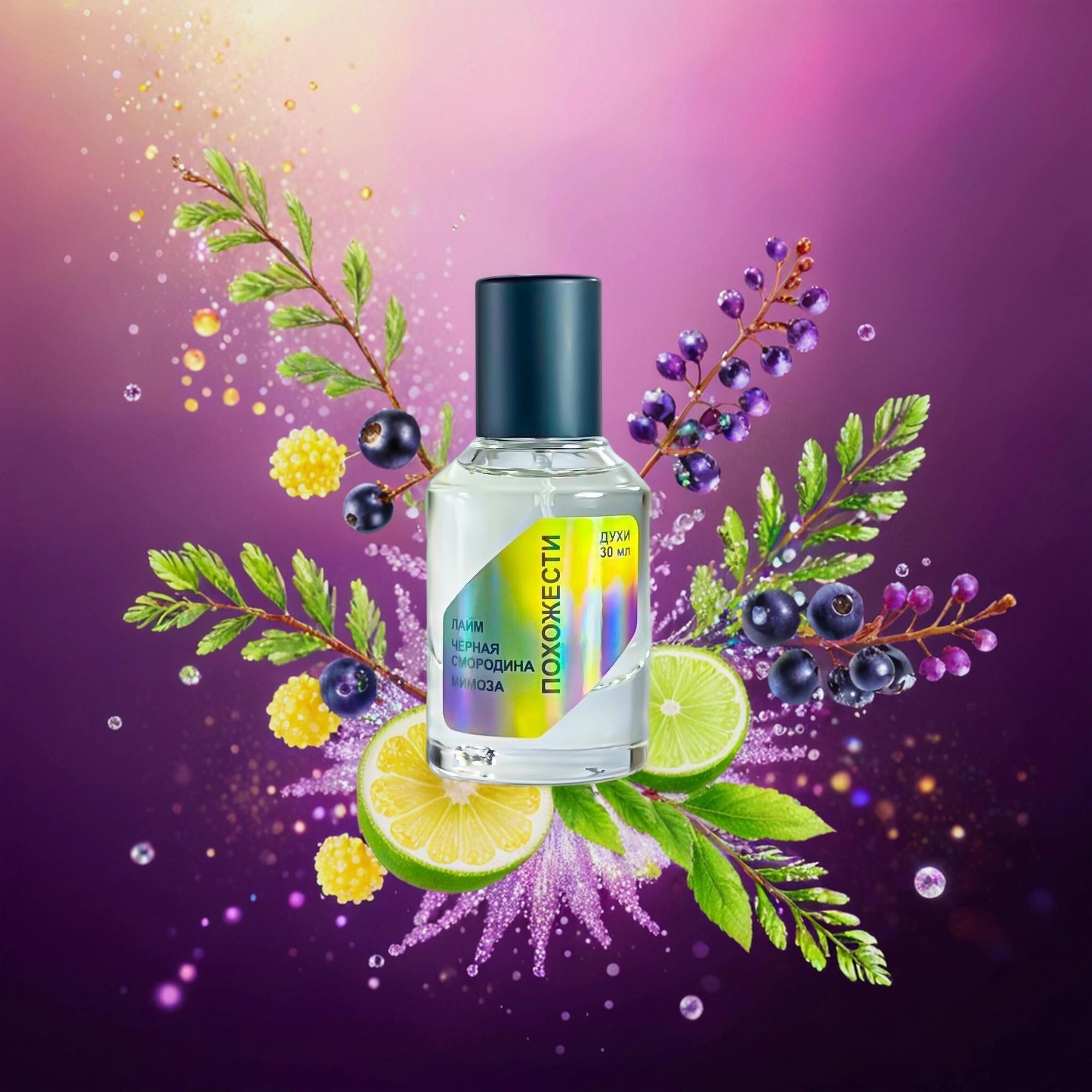 Лайм/Чёрная смородина/Мимоза, Похожести