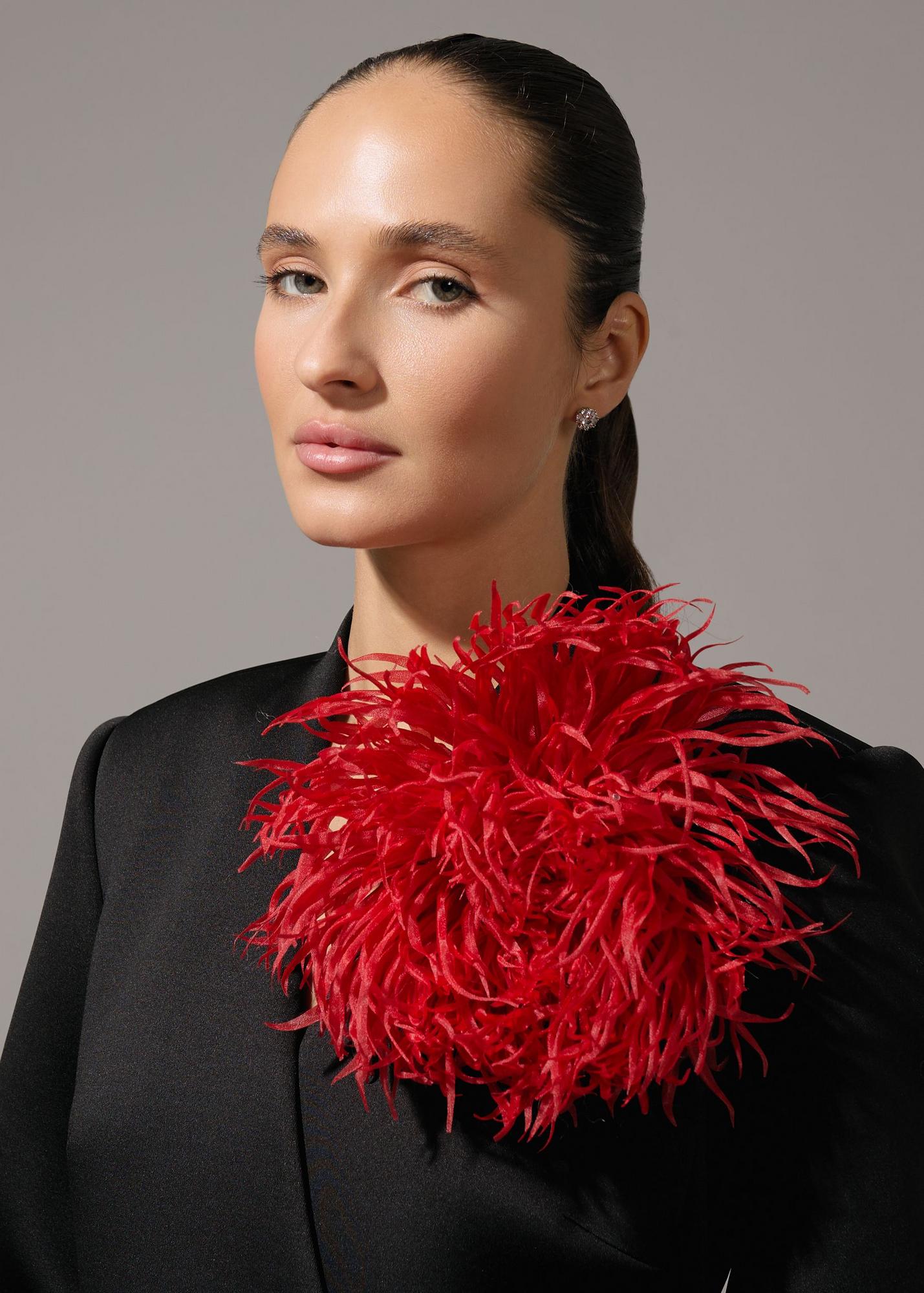 Aster 20cm, red