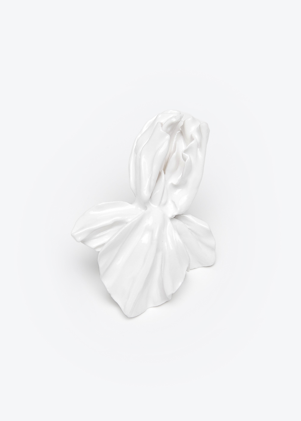 Ring iris, milky