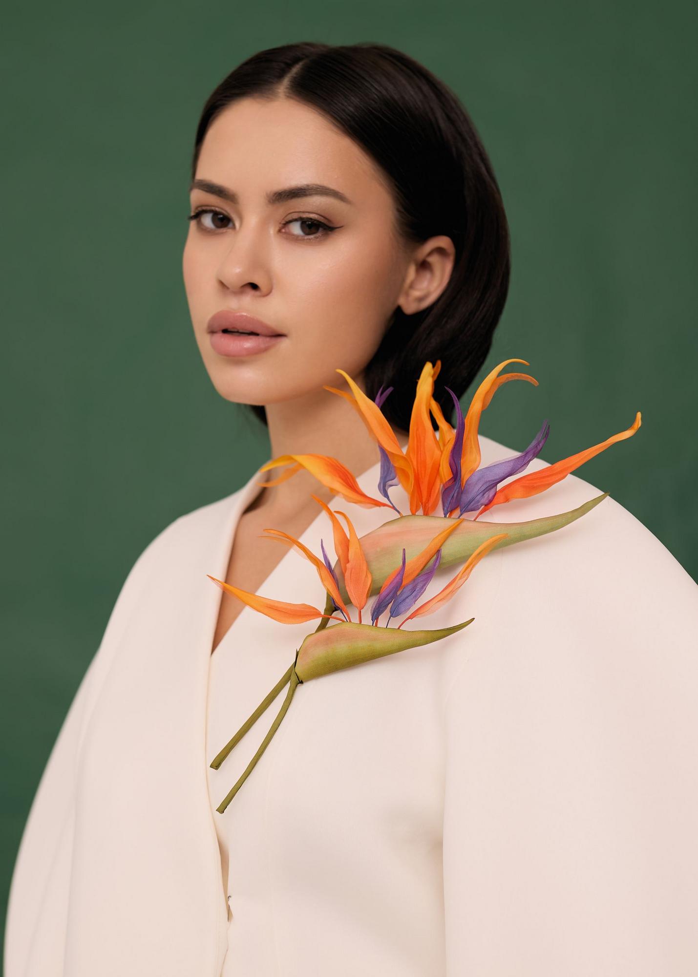 Strelitzia small 18cm