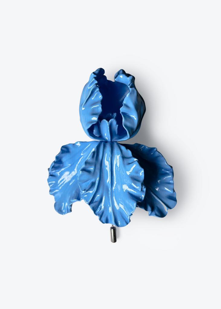Iris, azure