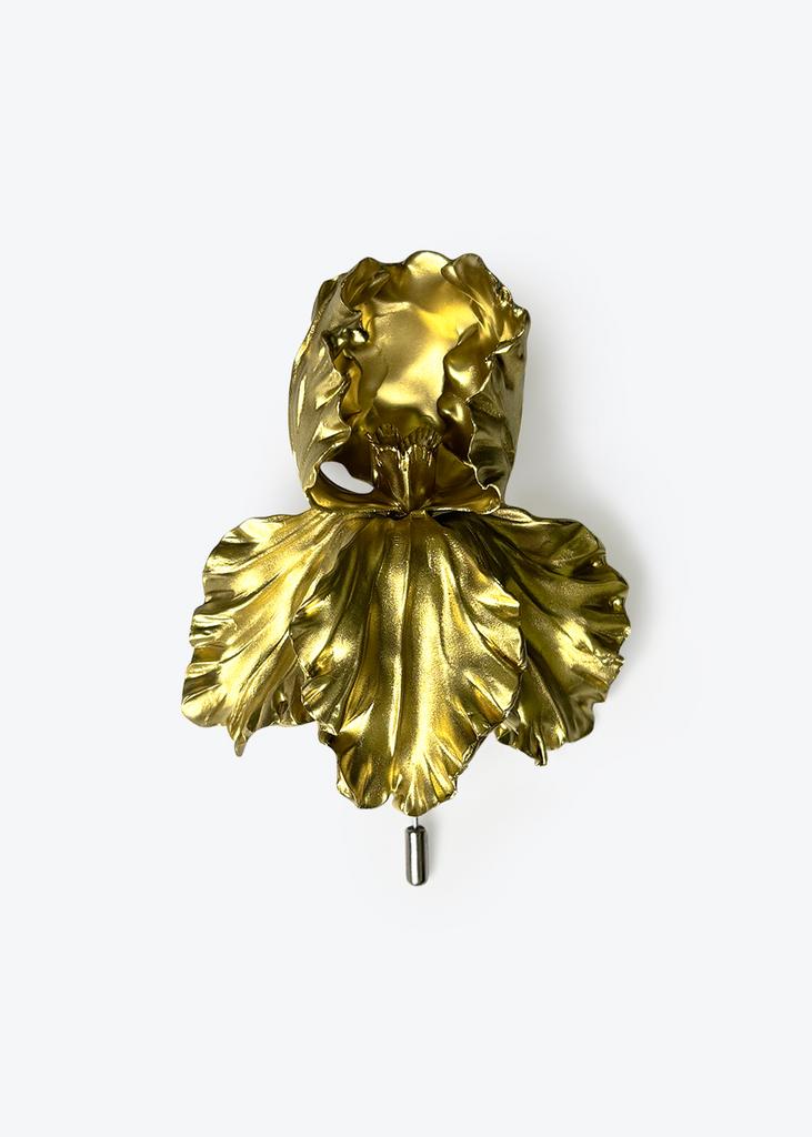 Iris, gold