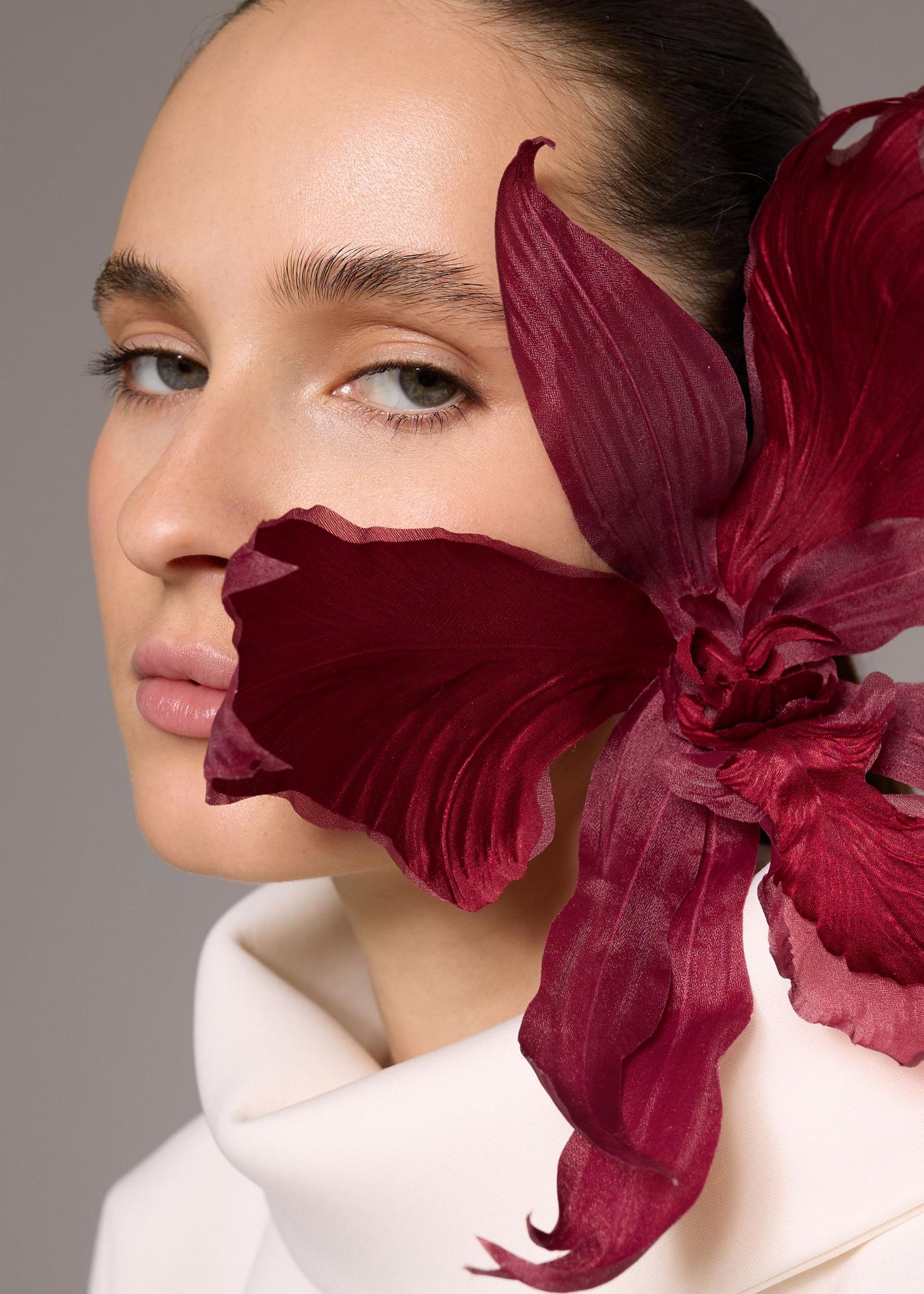 Single-earring orchid, burgundy