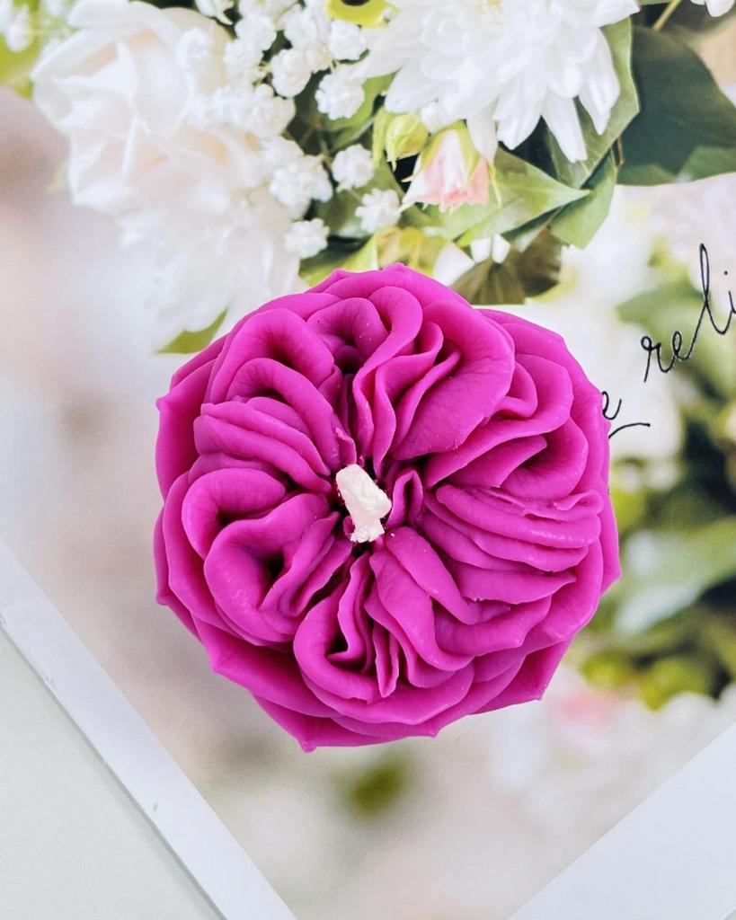 Свеча Английская Роза Элла фуксия