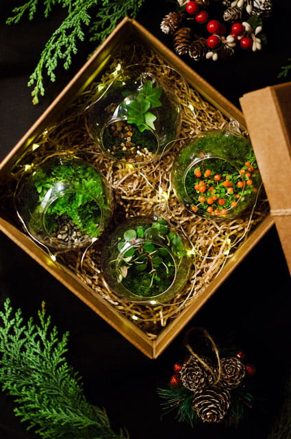 НАБОР MOSS BALLS