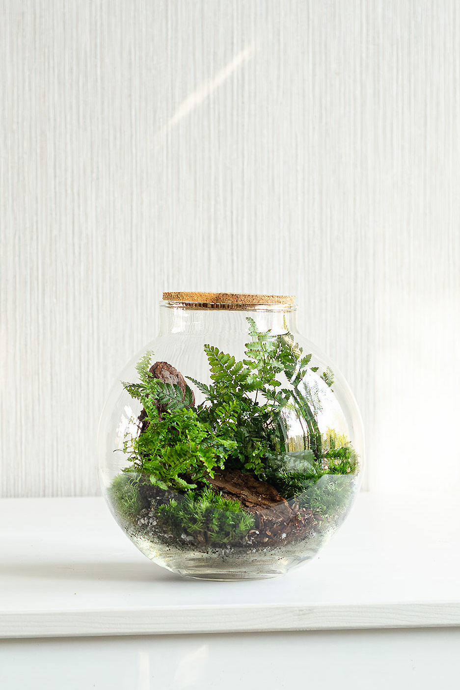 Флорариум WILD