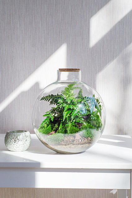 ФЛОРАРИУМ BUBBLE