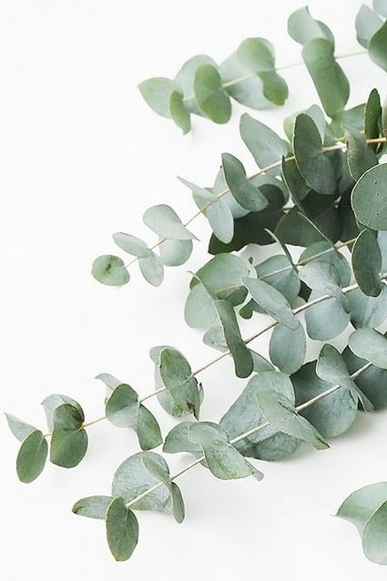 ОТКРЫТКА LEAF