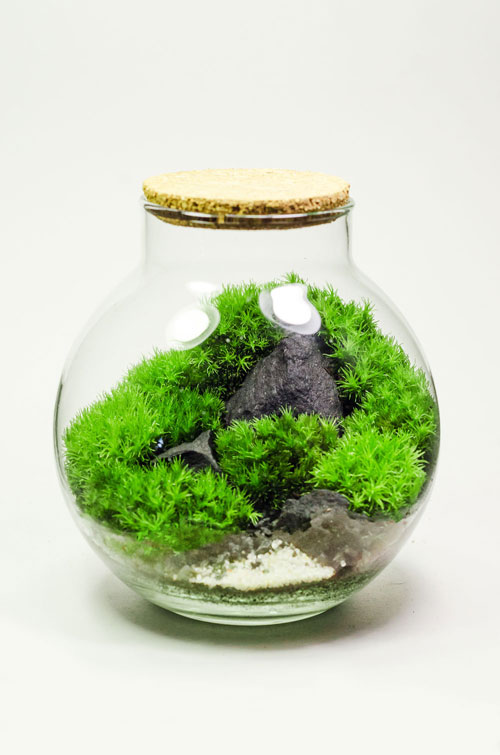 ФЛОРАРИУМ NIWA