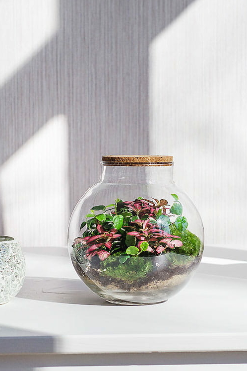 ФЛОРАРИУМ ROSY