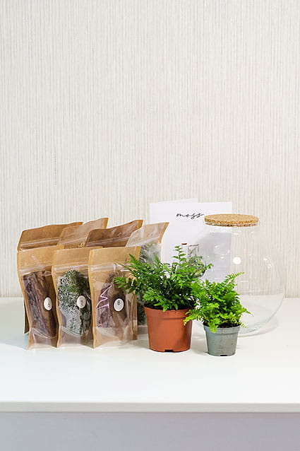 НАБОР СДЕЛАЙ САМ - WILD