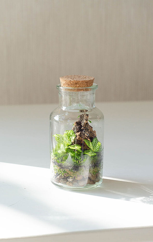 Флорариум OAK